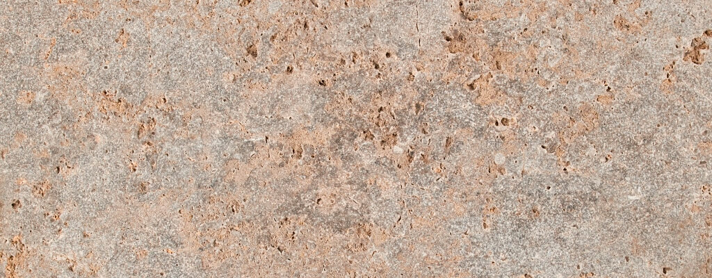 Ceragres Bis 153647 Muschel Kalk 2 Closeup