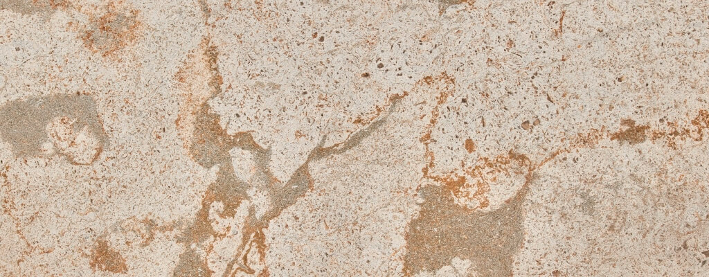 Ceragres Bis 153652 Muschel Kalk 3 Closeup